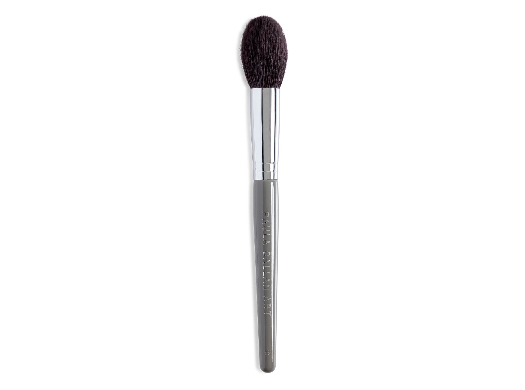 Buy #29 Paula's Hot Picks (9 Piece Set) - #12 Powder Brush at Paula Callan Artistry